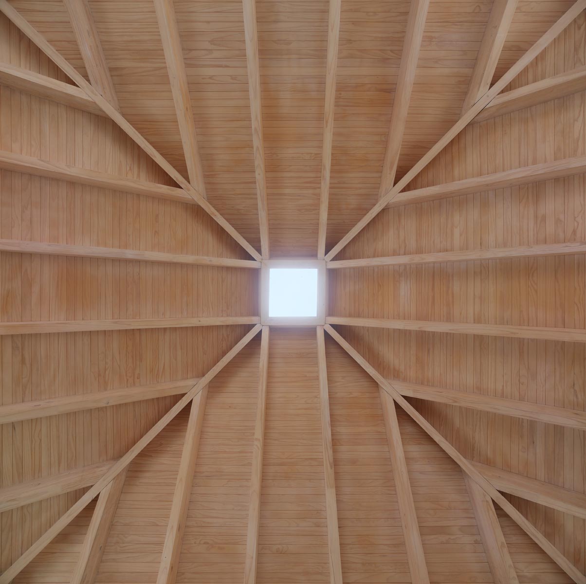 Interior rooff detail of Casa en el Peumo