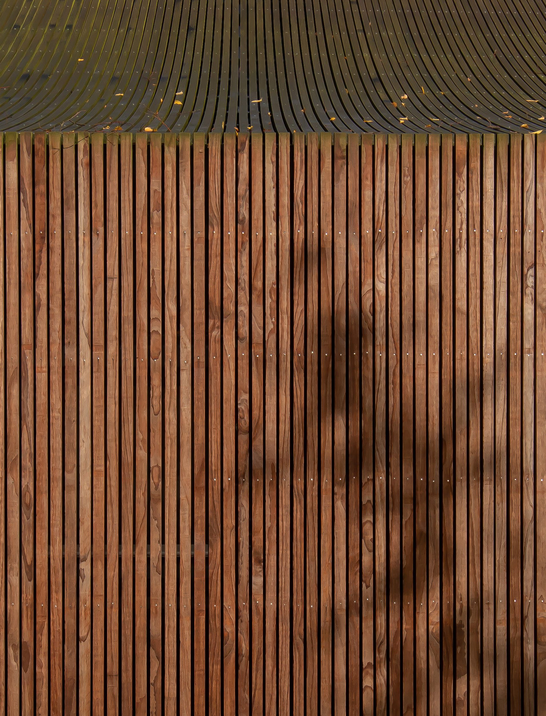 Exterior facade detail of Shady Shed